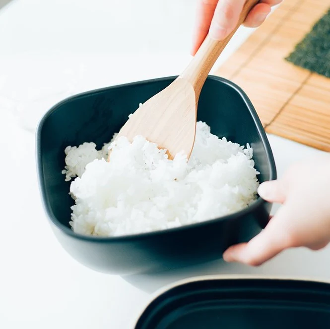 ハリオ HARIO ご飯釜のおひつ GO-2B 2合用 電子レンジOK