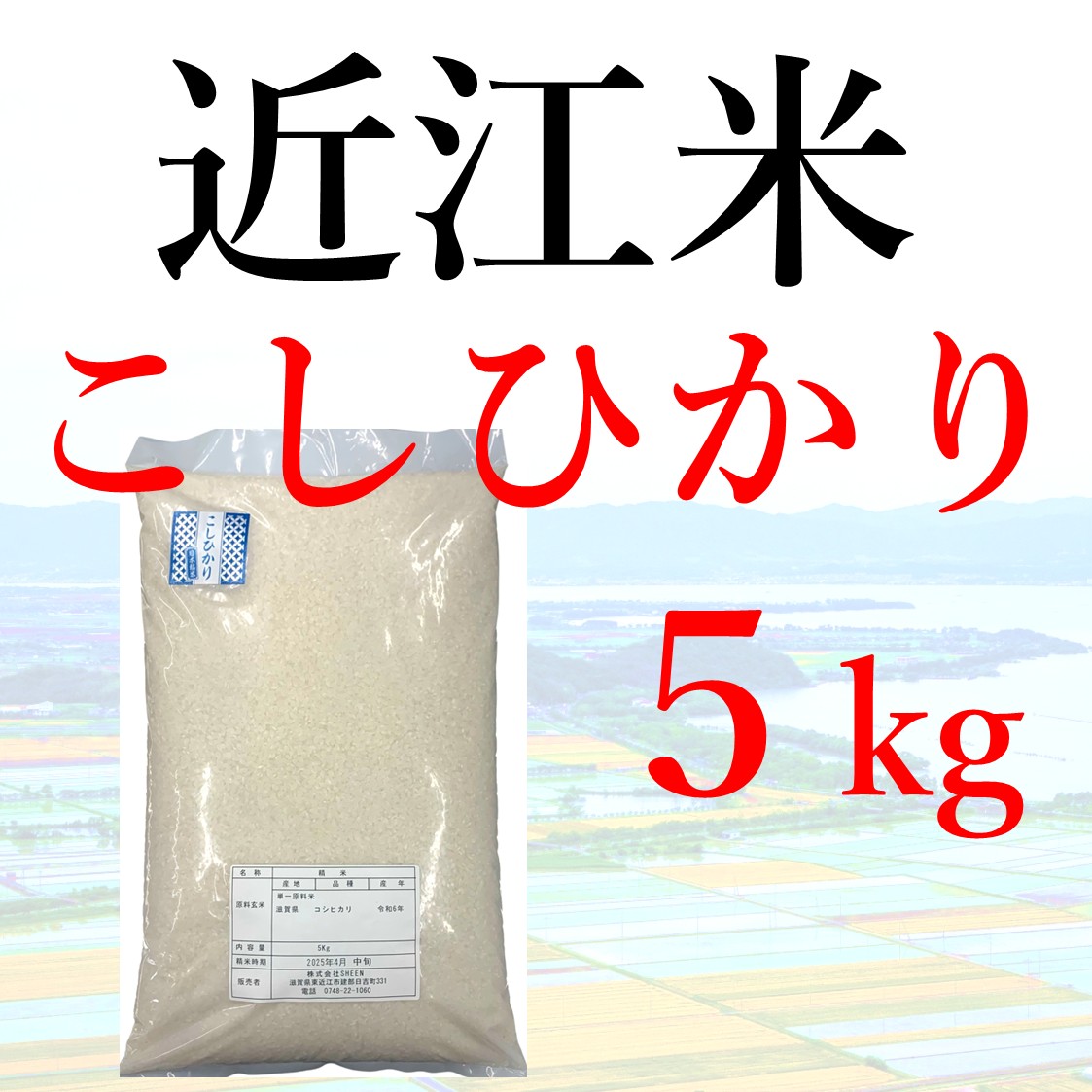 近江米 こしひかり  5kg