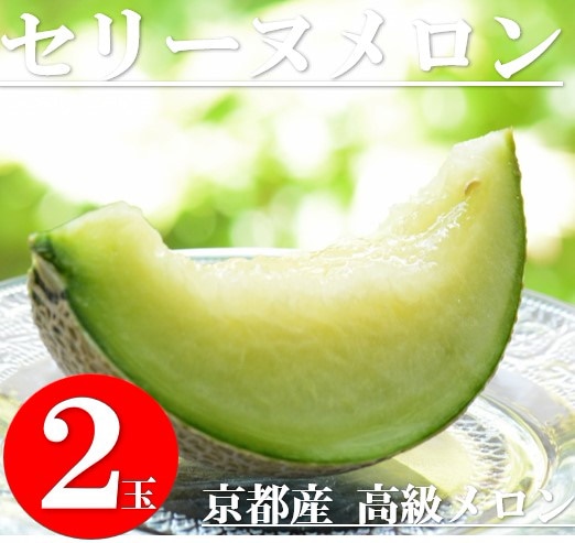 京都産 朝取れセリーヌメロン　【予約受付】7/3~順次出荷【約1.2kg×2玉】