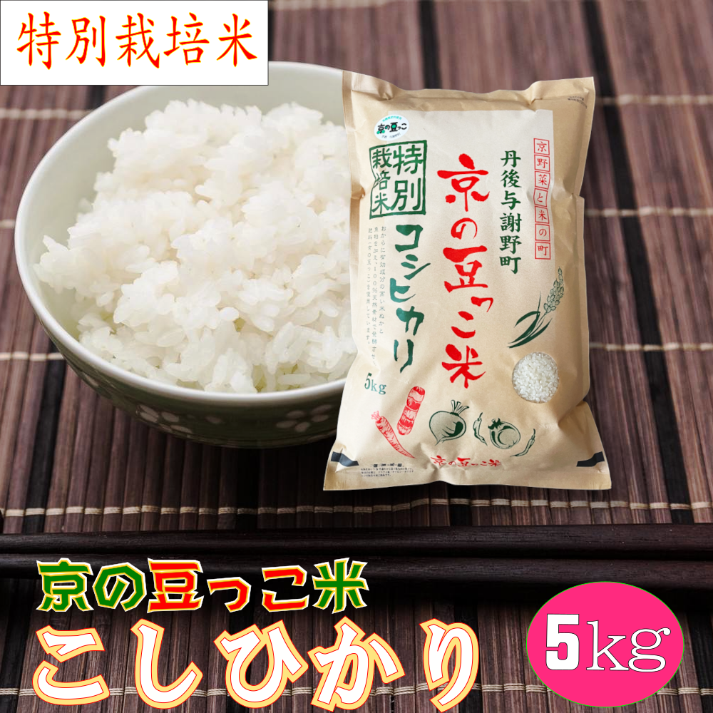 丹後こしひかり令和3年現在最新米（特価） 丹後こしひかり令和3年現在最新米（特価）