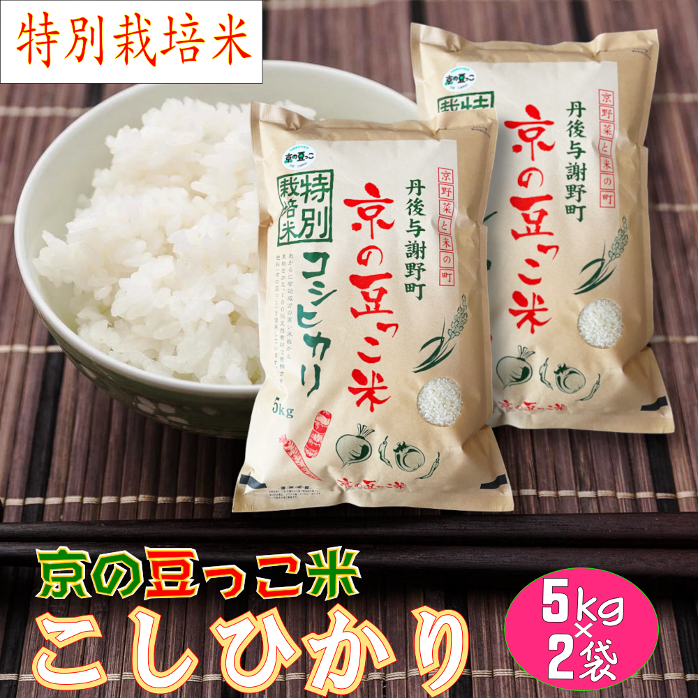 特別栽培米 京の豆っこ米 コシヒカリ白米10kg(5kg×2袋)「令和4年産」