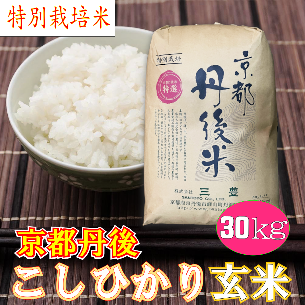 特別栽培米 京都丹後コシヒカリ 玄米30kg「令和4年産」