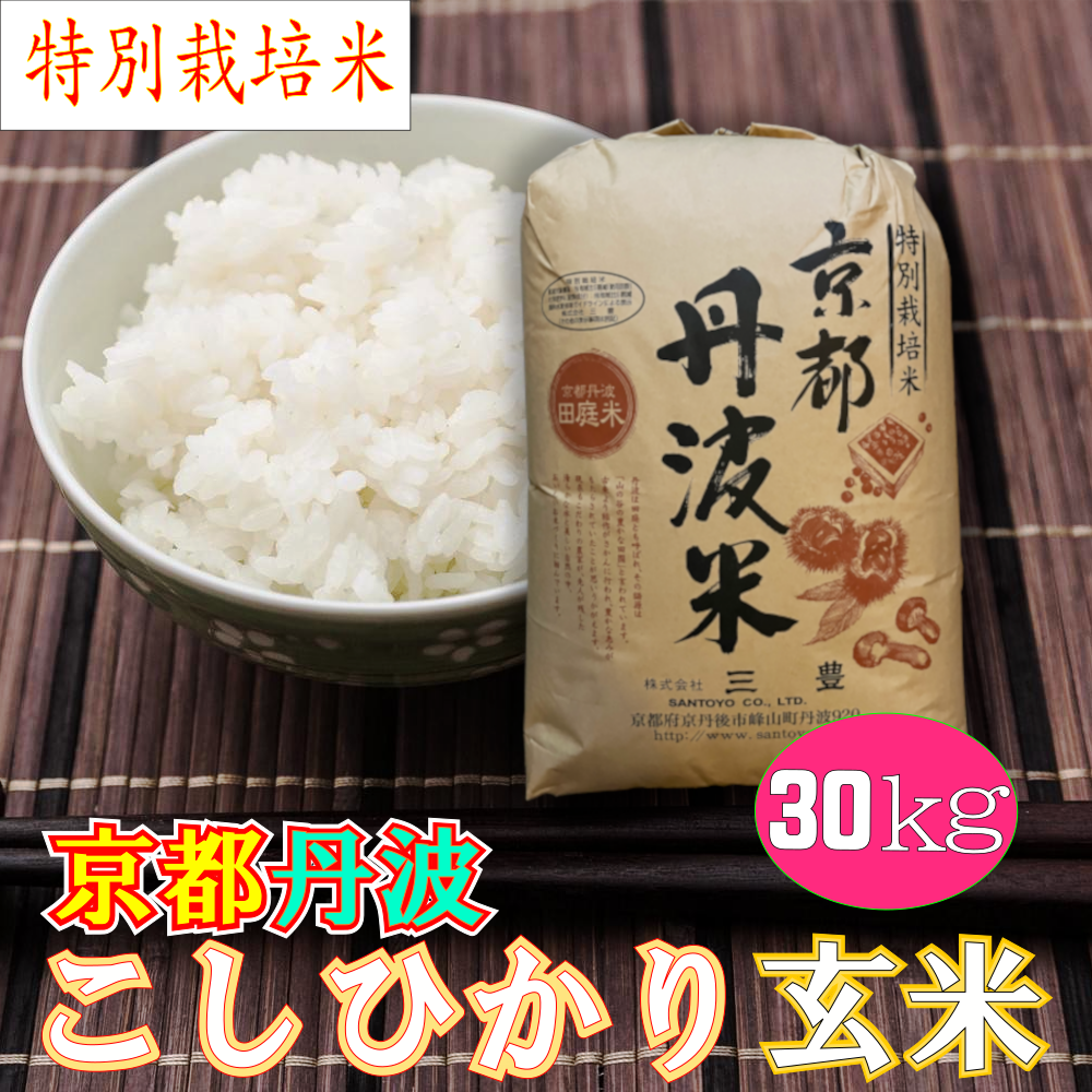 特別栽培米 京都丹波コシヒカリ玄米30kg「令和4年産」