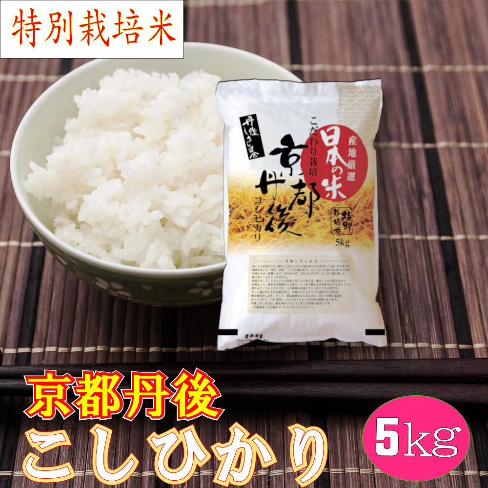 特別栽培米 京都丹後コシヒカリ白米5kg「令和4年産」