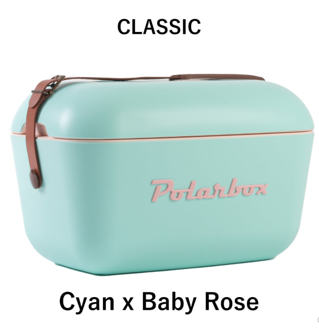 Polarbox 20L