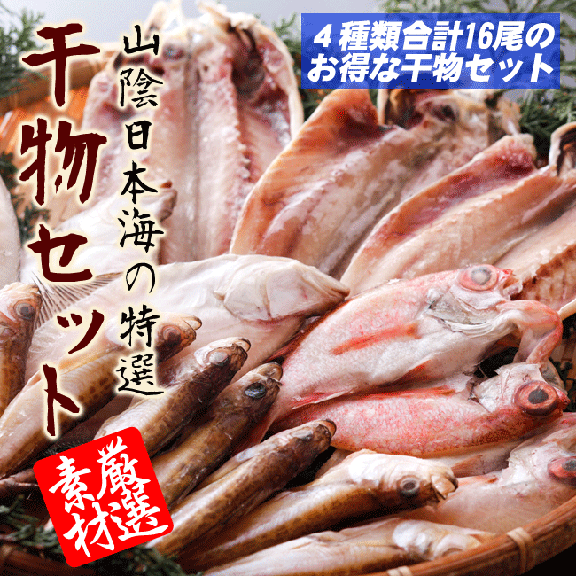 山陰日本海の特選　干物セット