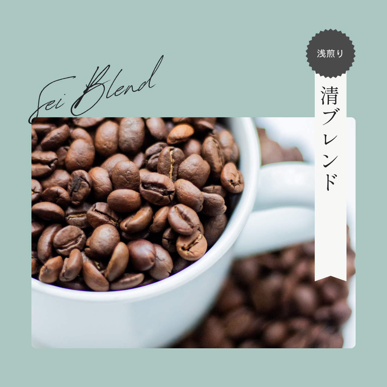 【浅煎り】清ブレンド 1.5Kg（500ｇ×3）自家焙煎珈琲