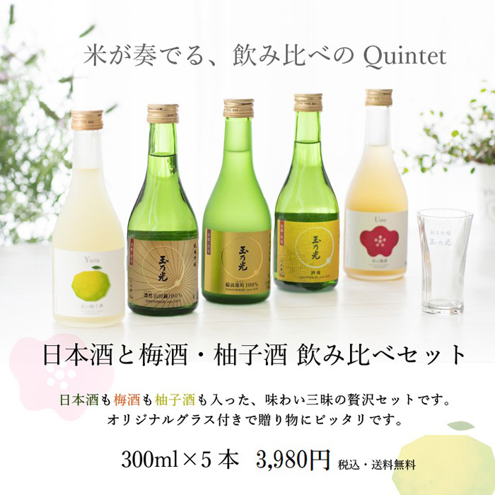 梅酒 柚子酒 5本 飲み比べセット