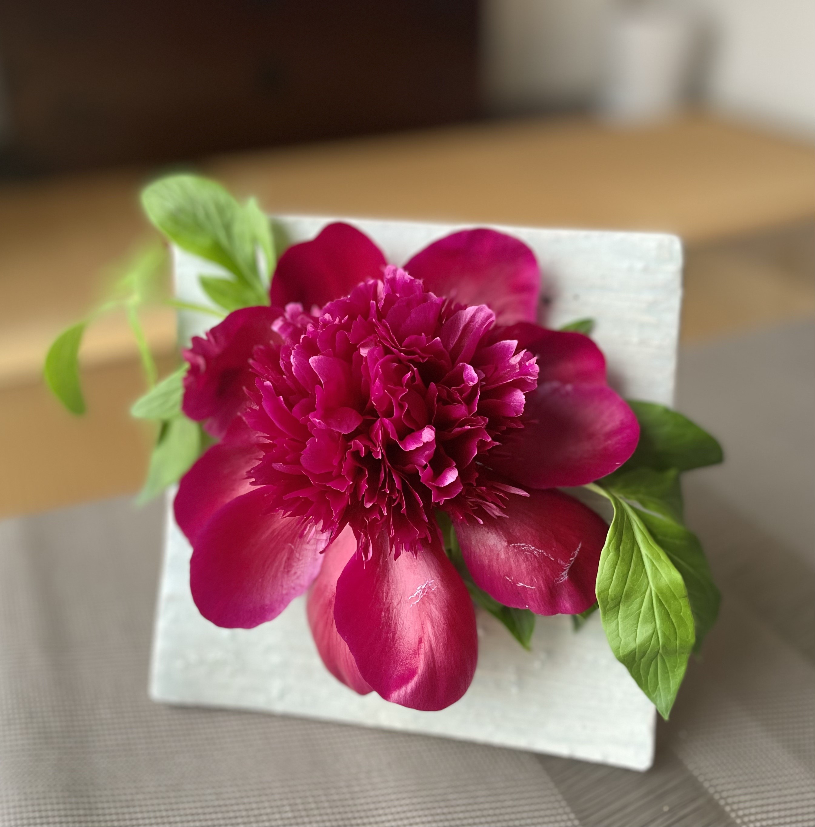 【京都 清水焼】額花入mini　＜青磁＞