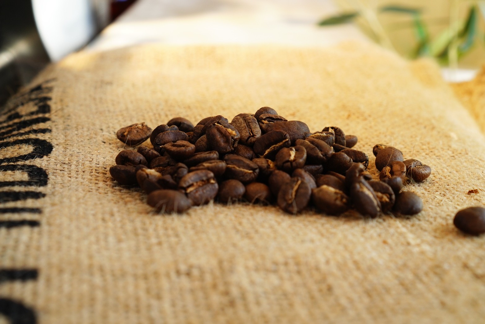 ジャコウネココーヒー（コピルアク）130g アラビカ ドリップバッグ(13gx10袋) 幻のコーヒー イタチコーヒー Arabica レギュラーコーヒー ギフト 贈答
