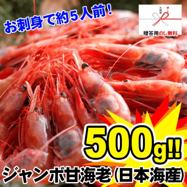 ジャンボ山陰日本海甘海老500ｇ前後（30～35匹）