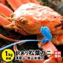 訳あり松葉ガニ1kg前後（1杯）1～3本指落ち 城崎温泉旅館湯楽の松葉ガニ 香住 カニ かに 訳あり 松葉ガニ 松葉かに 松葉蟹 兵庫県産 津居山 柴山 通販かに 城崎 カニ ズワイガニ 朝市広場 通販かに 美味しい 高級食材 ズワイガニ