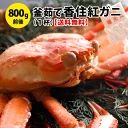 送料無料！釜茹で香住紅ズワイガニ（特大800g前後）1杯