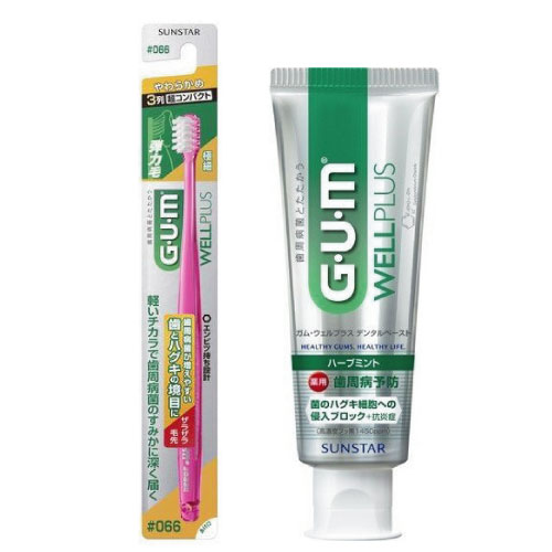 【おまとめ買い特価】【GUM(ガム)】ウェルプラス　デンタルペースト&ハブラシ(#066)セット<計15個セット>