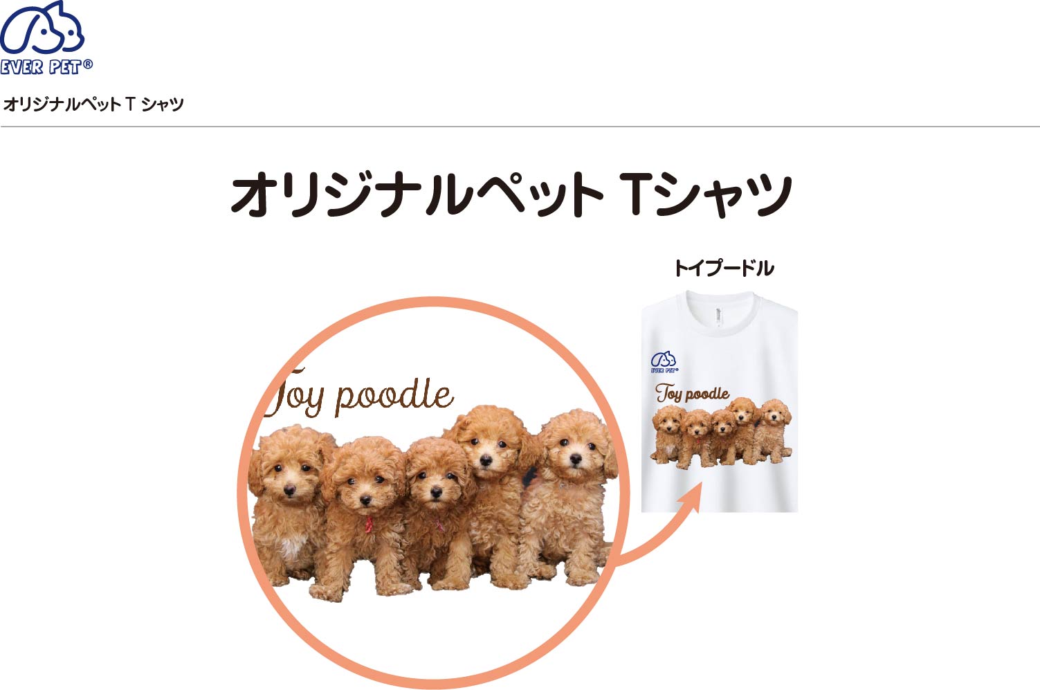 EVERPET エバペット　オリジナル　ペットTシャツ　愛犬家　愛猫家　かわいい　トイプードル　　吸水速乾　男女兼用　【サイズＳM,L,LL】　ユニセックス　プレゼント　ギフト