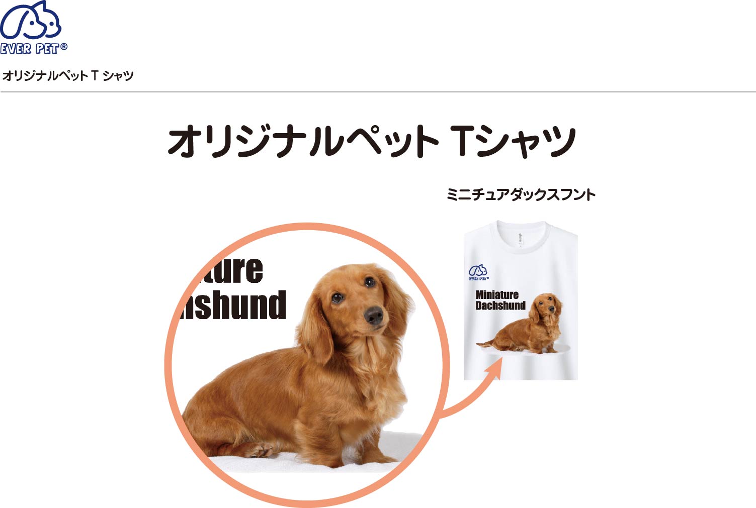 EVERPET エバペット　オリジナル　ペットTシャツ　愛犬家　愛猫家　かわいい　ミニチュアダックスフント　　吸水速乾　男女兼用　【サイズＳM,L,LL】　ユニセックス　プレゼント　ギフト