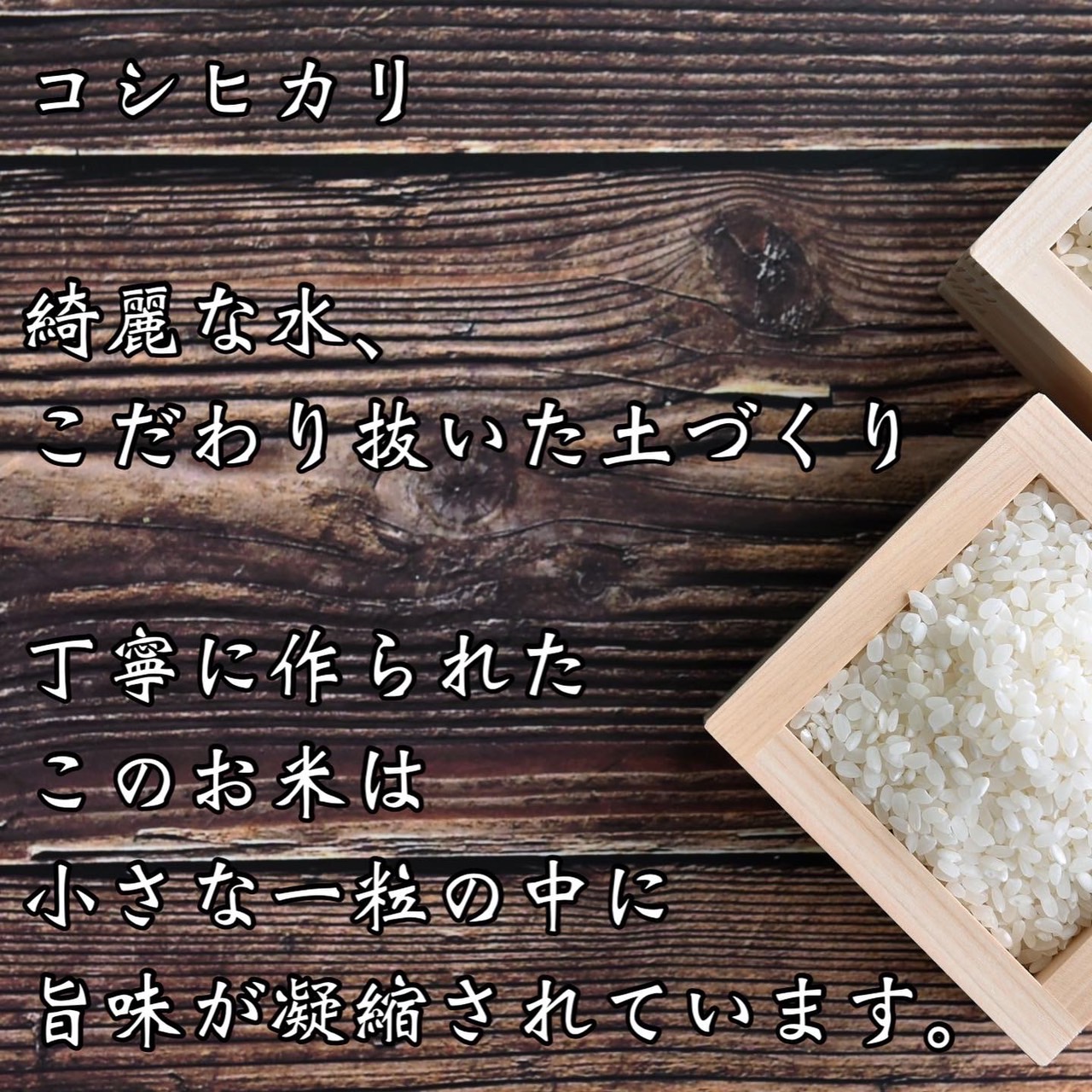 ことよりモール / 【無洗米】30kg 京都産 精米 コシヒカリ 流通してい