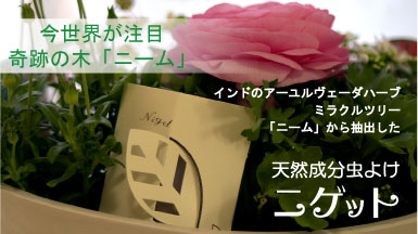 ニゲット
