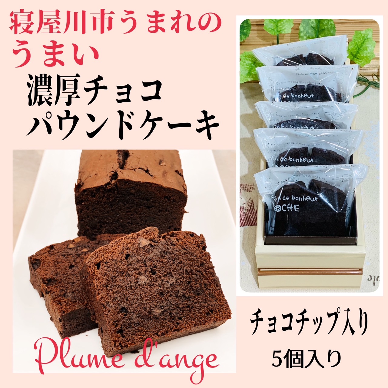 のうこうチョコパウンドケーキ（チョコチップ入）5個入り　【送料込み】（北海道、沖縄を除く）