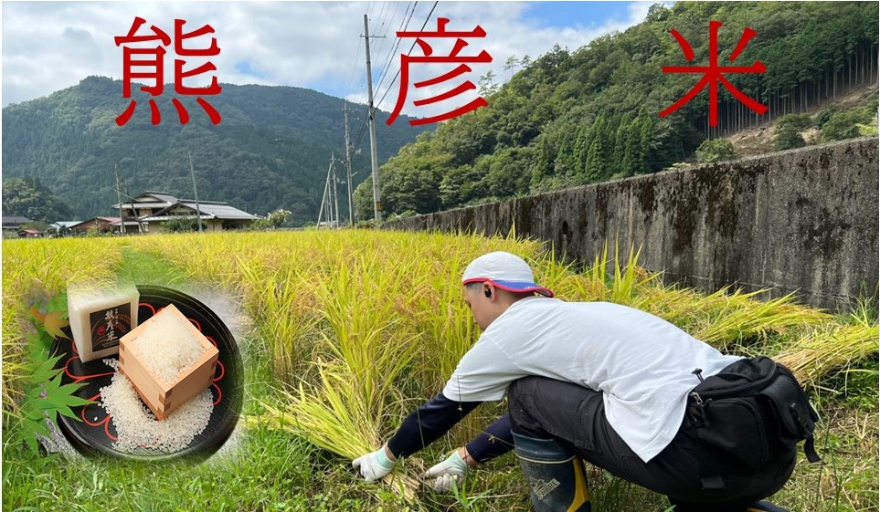 熊彦米5kg　【令和５年産新米】送料無料