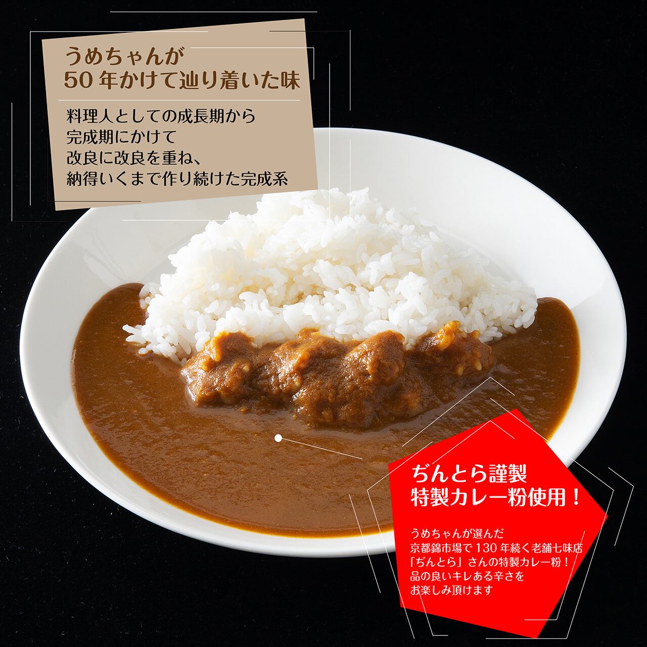 【お得なセット】芦屋うめちゃんの味　ことよりモール　咖喱10袋セット（送料込）