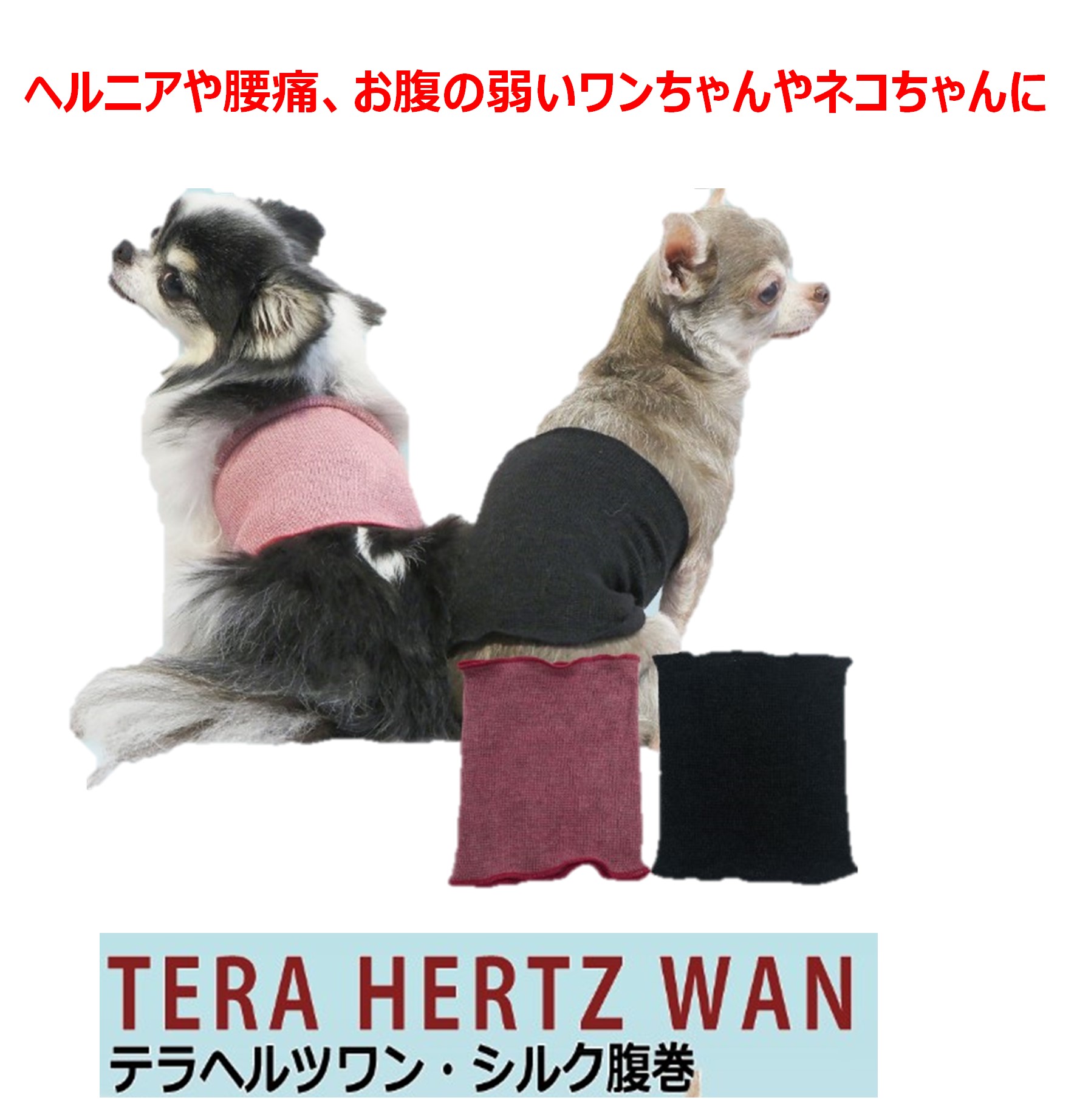 【テラヘルツワン・シルク腹巻】（2色/4サイズ）ペット腹巻き　犬腹巻き　猫腹巻き 犬介護グッズ　冷え症　ヘルニア　腰痛　ズレない