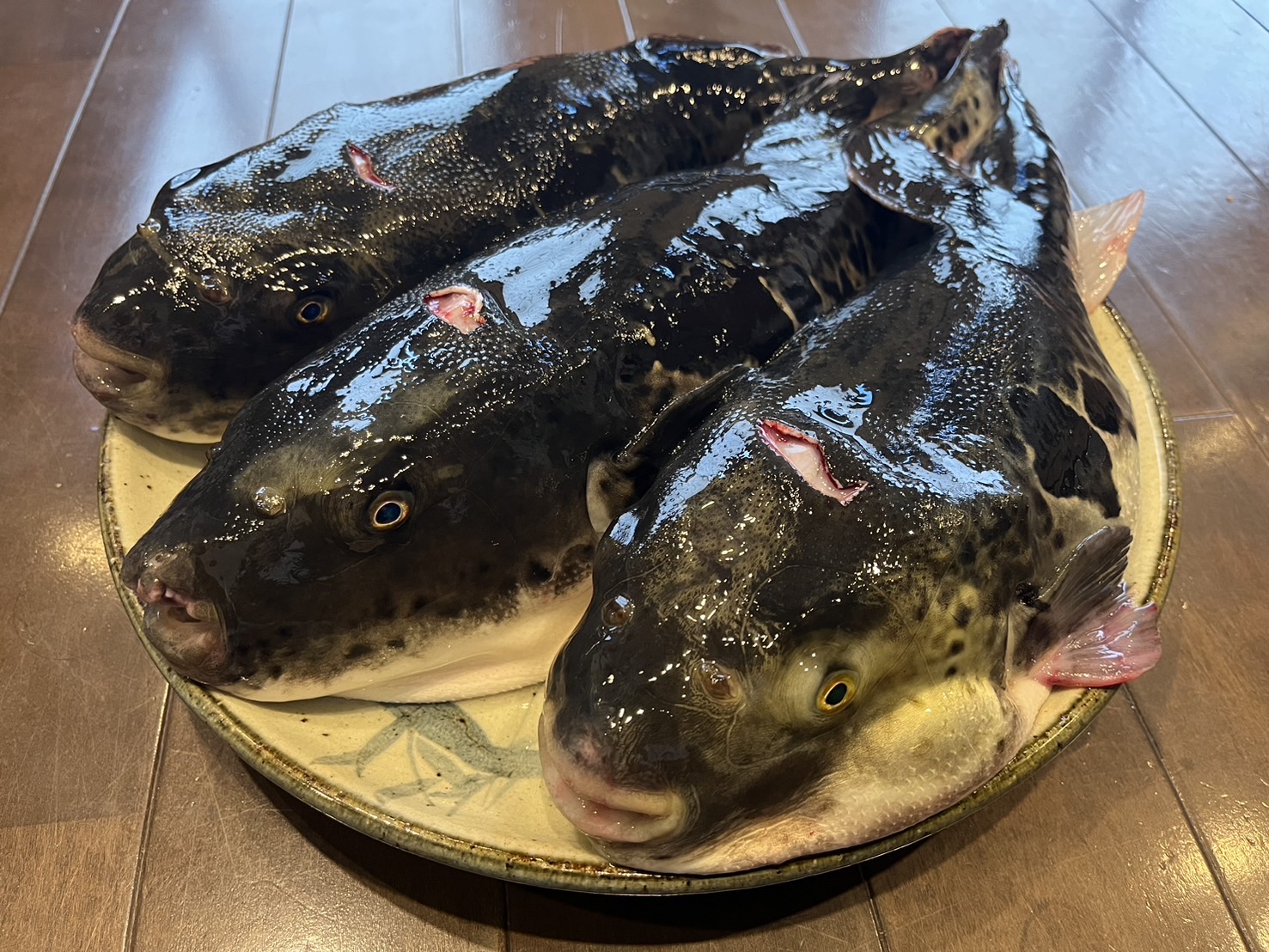 国産とらふぐ（3人前・500ｇ）