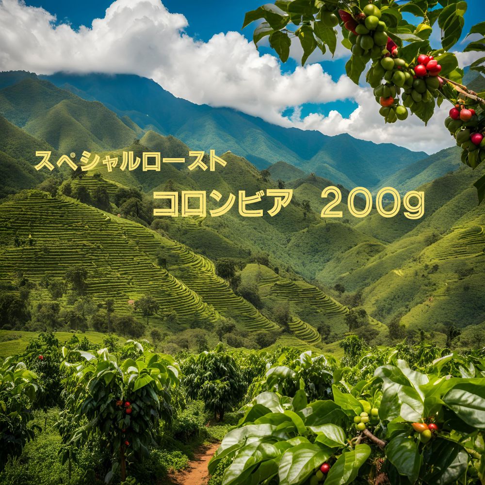 全国送料無料 プレミアムコーヒー コロンビア 3００ｇ (豆） スペシャルロースト