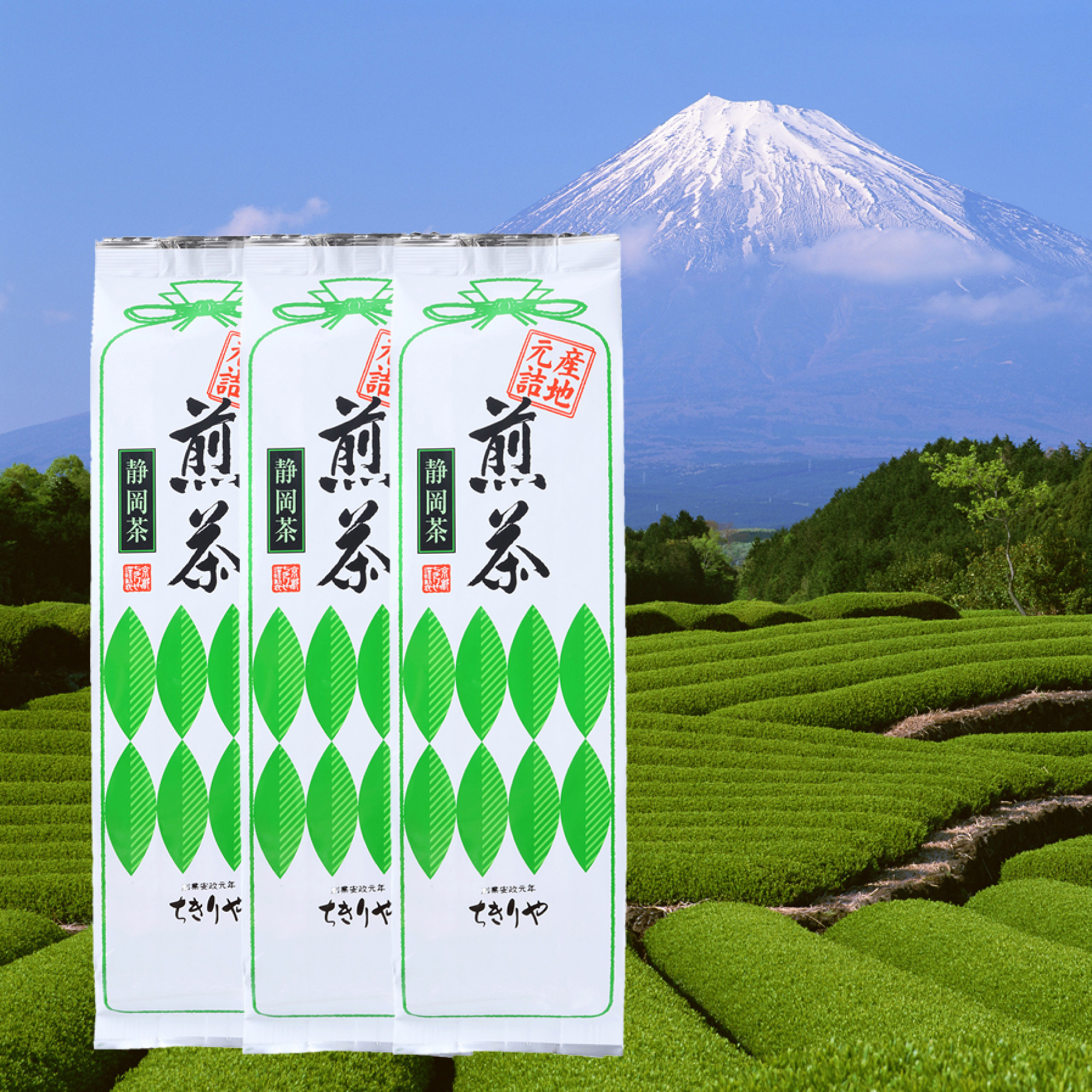 産地元詰煎茶500g×3袋