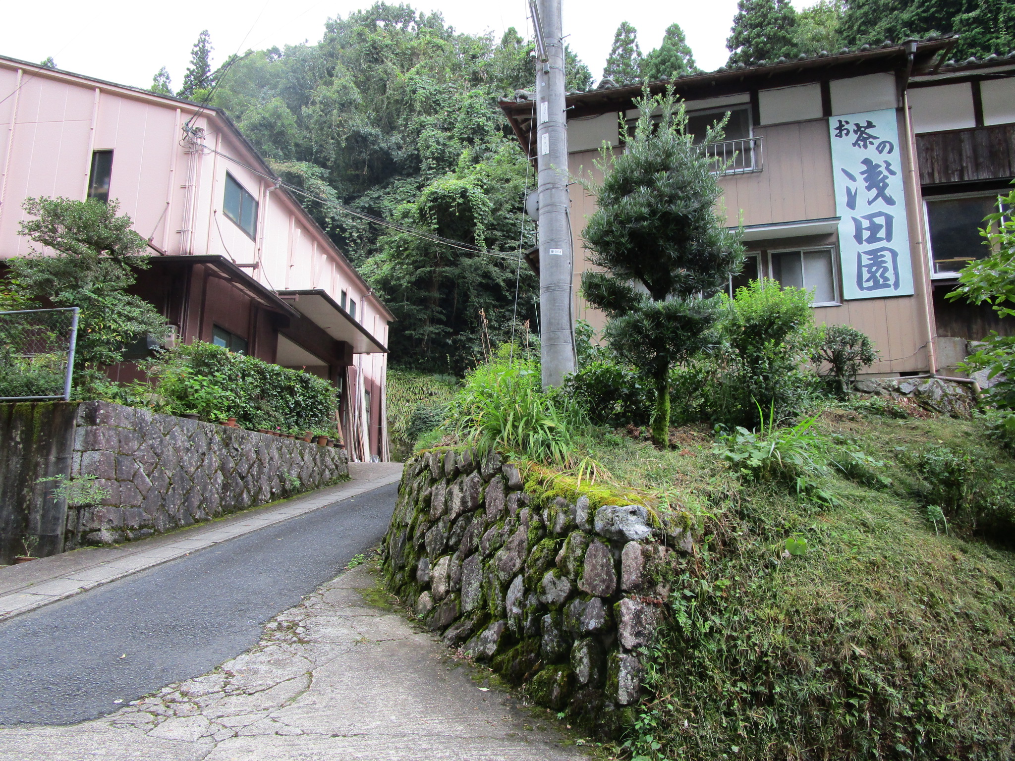 浅田園本店