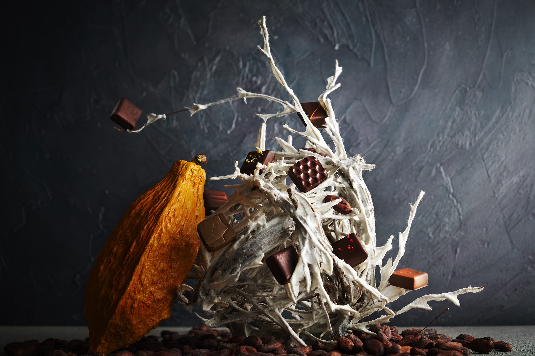 CHOCOLATERIE TOKI