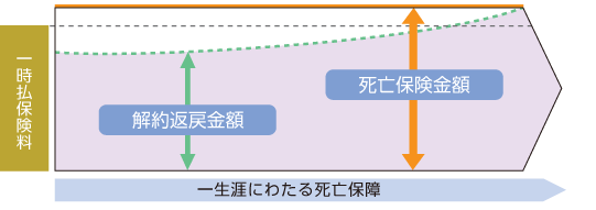 一般的な一時払の終身保険のイメージ