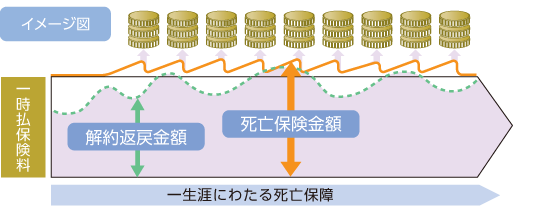 一時払の終身保険のイメージ（定期的に受け取れるタイプ）