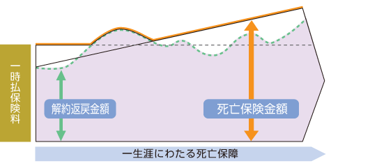 一般的な一時払終身保険（解約返戻金変動型）のイメージ