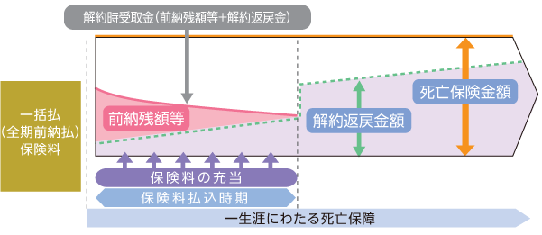 一般的な全期前納払終身保険のイメージ