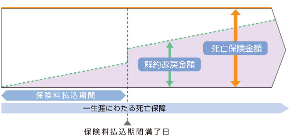 平準払終身保険のイメージ