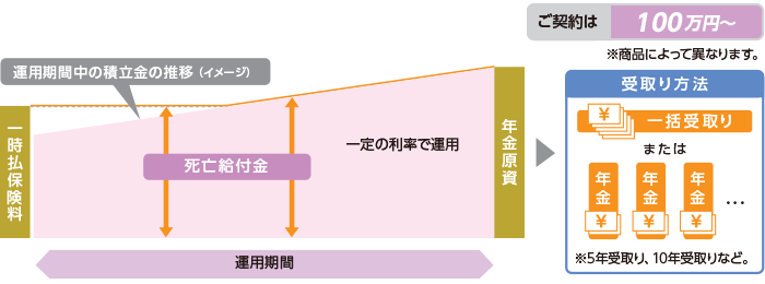 一般的な一時払の定額年金保険のイメージ