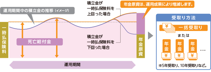 一般的な一時払の変額年金保険のイメージ