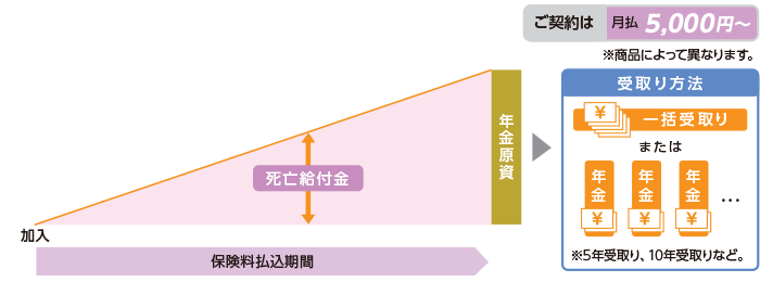 平準払定額年金保険のイメージ