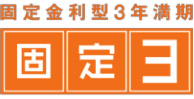 固定3
