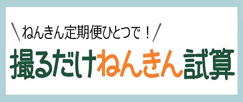 年金定期便ひとつで！撮るだけねんきん資産
