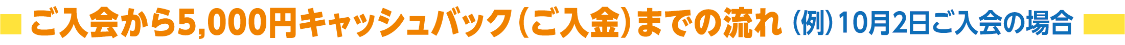 ご入会から5,000円キャッシュバック（ご入金）までの流れ