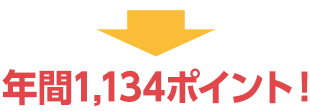 1.2.3の合計で年間1,134ポイントが貯まります！