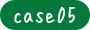 case05