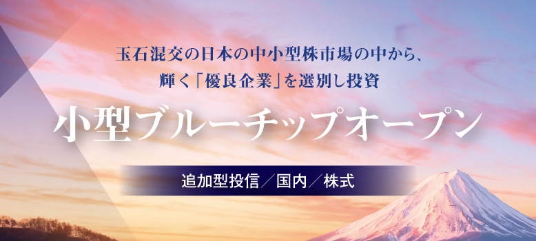 小型ブルーチップ